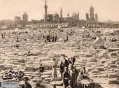&laquo;باغ بهشت&raquo; در دل قبرستان قتلگاه مشهد
