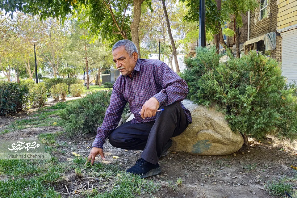 مهدی جعفری