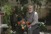 حیاط سبز شهروند طبیعت دوست